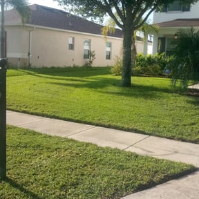 yard service by the kadyebo way reviewed on November 25, 2025