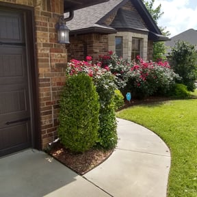 Bush Trimming by Landscape Pros of Oklahoma reviewed on August 19, 2025