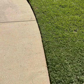 turf care by Sims Family Lawncare Service reviewed on October 6, 2021