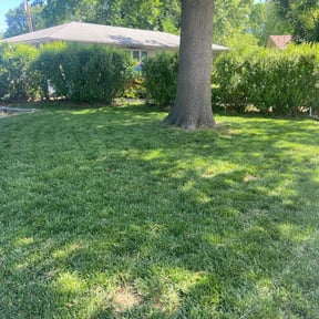 landscaping by ECO Cuts NW reviewed on August 16, 2025