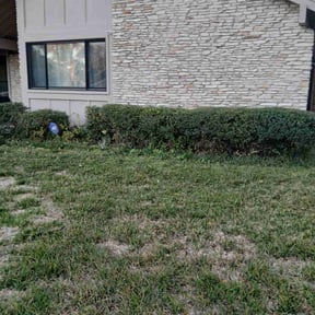 grass cutting by Stephen Reynolds reviewed on June 4, 2024