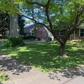yard care by S. Hayes lawn Maintenance reviewed on August 17, 2025