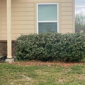 Bush Trimming by Tx irrigation Concepts reviewed on August 15, 2025