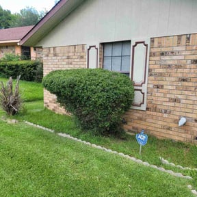 Bush Trimming by American Pride Property Services reviewed on August 14, 2025