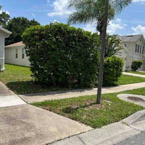 Bush Trimming by Lawn Justice Landscape reviewed on August 27, 2026