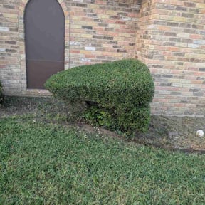 Bush Trimming by J&amp;K Lawn Care reviewed on November 9, 2025