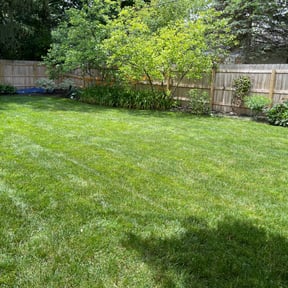 landscape maintenance by True Lawn and Tree Care reviewed on November 19, 2025