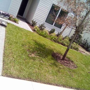 gardening service by MJ'S Lawn service reviewed on December 31, 2025