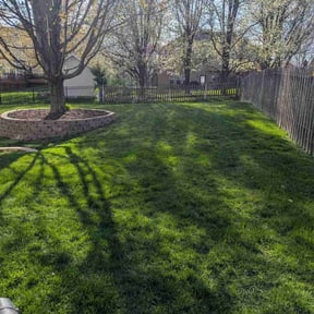 residential landscaping by Ridgewood Landscape Management llc. reviewed on August 20, 2025