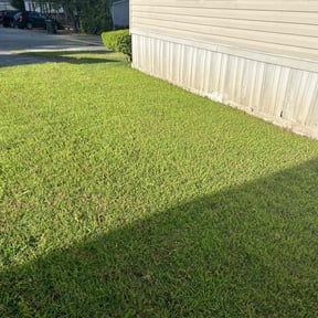 yard care by Mobile Lawns reviewed on August 16, 2025