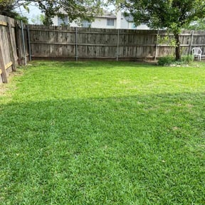 landscape maintenance by Bird lawn&tree service reviewed on August 15, 2025