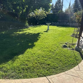 gardening service by Incredible Lawn Care reviewed on August 19, 2025