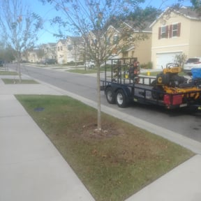 Bush Trimming by Halerem lawn service reviewed on August 16, 2025