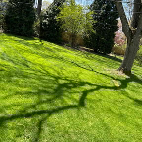 lawn service by Scott Basinger lawn care reviewed on October 9, 2024