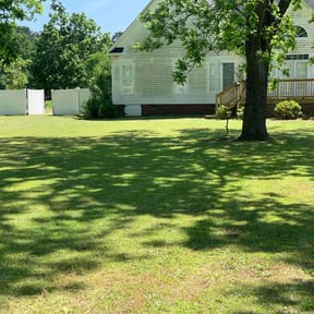grass maintenance by Rjm reviewed on August 20, 2025