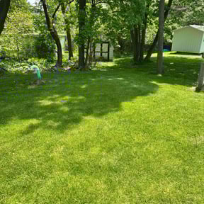 landscape maintenance by Cloverleaf Lawncare reviewed on August 21, 2025