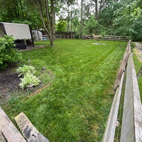 yard service by D&amp;k Taylor lawn care reviewed on August 19, 2025