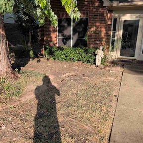 Bush Trimming by Perry’s Landscaping LLC reviewed on August 22, 2026