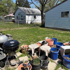 Bush Trimming by Red Carpet Lawn Care LLC reviewed on October 18, 2025