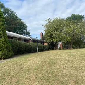 Bush Trimming by Essential  Scapes reviewed on November 24, 2025