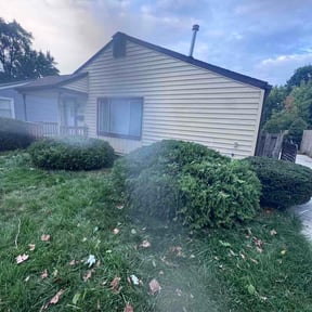 Bush Trimming by Alpha Lawn care reviewed on August 23, 2026