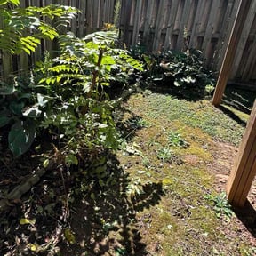 Bush Trimming by Kopf Brothers Lawn and Garden reviewed on November 23, 2025