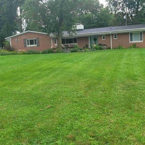 residential landscaping by New World Lawn Care LLC reviewed on August 21, 2025