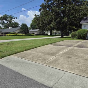 yard service by P&amp;D Landscaping. reviewed on December 28, 2025