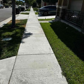 residential landscaping by Miller Solutions reviewed on August 19, 2025