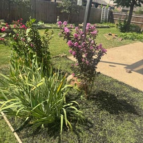 Flower Bed Weeding by Y&amp;R reviewed on October 23, 2025