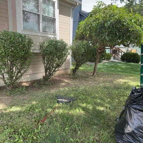 Bush Trimming by GRASS EFX LAWN CARE reviewed on November 23, 2025