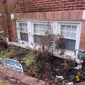 Flower Bed Weeding by Legacy Solutiins reviewed on April 14, 2026