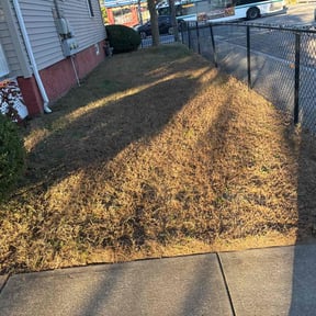 Leaf Removal by Kevreks Lawncare Service’s reviewed on September 28, 2025