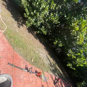 Leaf Removal by Iconic Mowing LLC reviewed on August 21, 2025