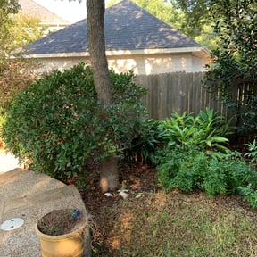 Bush Trimming by CjPressure reviewed on August 17, 2025