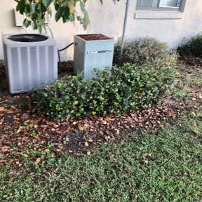Bush Trimming by Maple Leaf Landscaping LLC reviewed on August 14, 2025