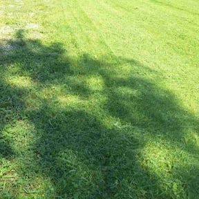 turf care by ShiftChange LLC Lawn Service reviewed on October 2, 2023