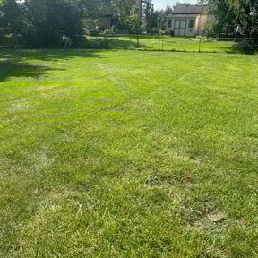 turf care by After Care Express SVC reviewed on July 25, 2023