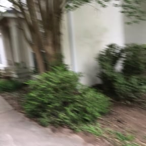 Bush Trimming by JW Lawns reviewed on August 15, 2025