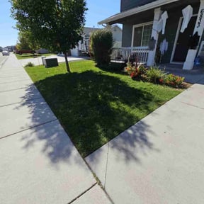 lawn maintenance by Delbert Jones reviewed on June 19, 2025