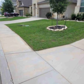turf care by Collins Lawn Care reviewed on October 3, 2023
