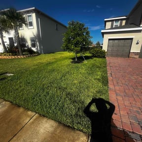 yard care by Carter&Sons reviewed on August 21, 2025