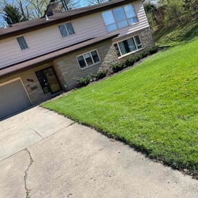 yard service by Micheal Simmons reviewed on March 19, 2024