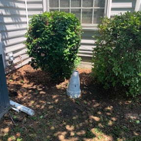 Bush Trimming by Cuttas Landscaping & Lawn Services reviewed on August 18, 2025
