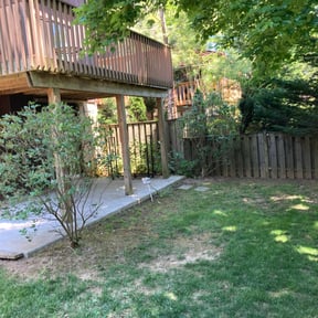 Bush Trimming by Deshawns Landscaping reviewed on August 18, 2025