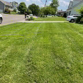 residential landscaping by Smith Solves Situations LLC-Love reviewed on August 15, 2025