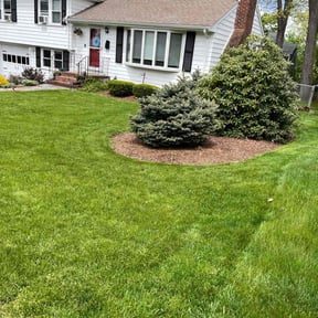 yard care by RnR Homes "Legends Lawncare" reviewed on August 16, 2025