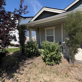 Bush Trimming by Lopez LawnScaping reviewed on July 28, 2026