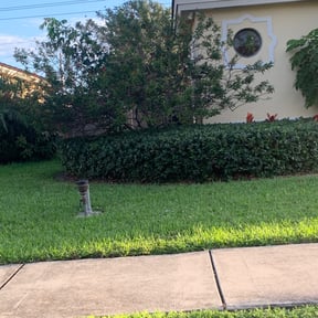 Bush Trimming by Torco Services reviewed on August 20, 2025