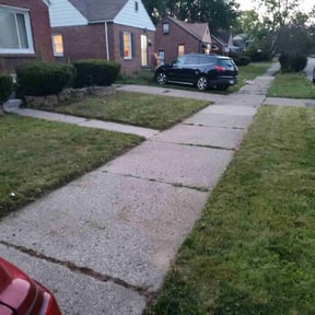 Bush Trimming by Maya's Services LLC reviewed on August 16, 2025